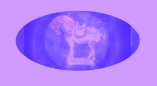 06190905_how_much_is_that_antique_collectible_worth001010.jpg