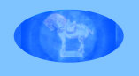 06190905_how_much_is_that_antique_collectible_worth001011.jpg
