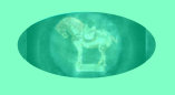 06190905_how_much_is_that_antique_collectible_worth001012.jpg